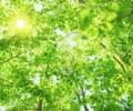 肩こりと頭痛の関係性と原因を理解しよう