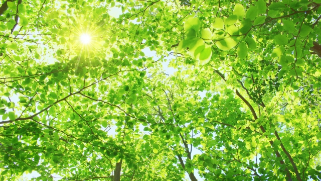 肩こりと頭痛の関係性と原因を理解しよう